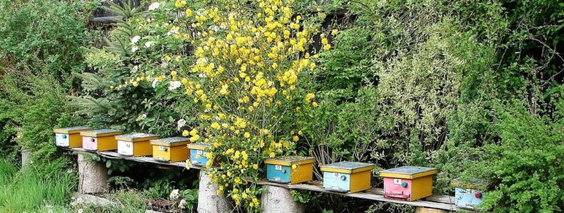 Serenade ASO – jak działa biologiczna ochrona roślin?